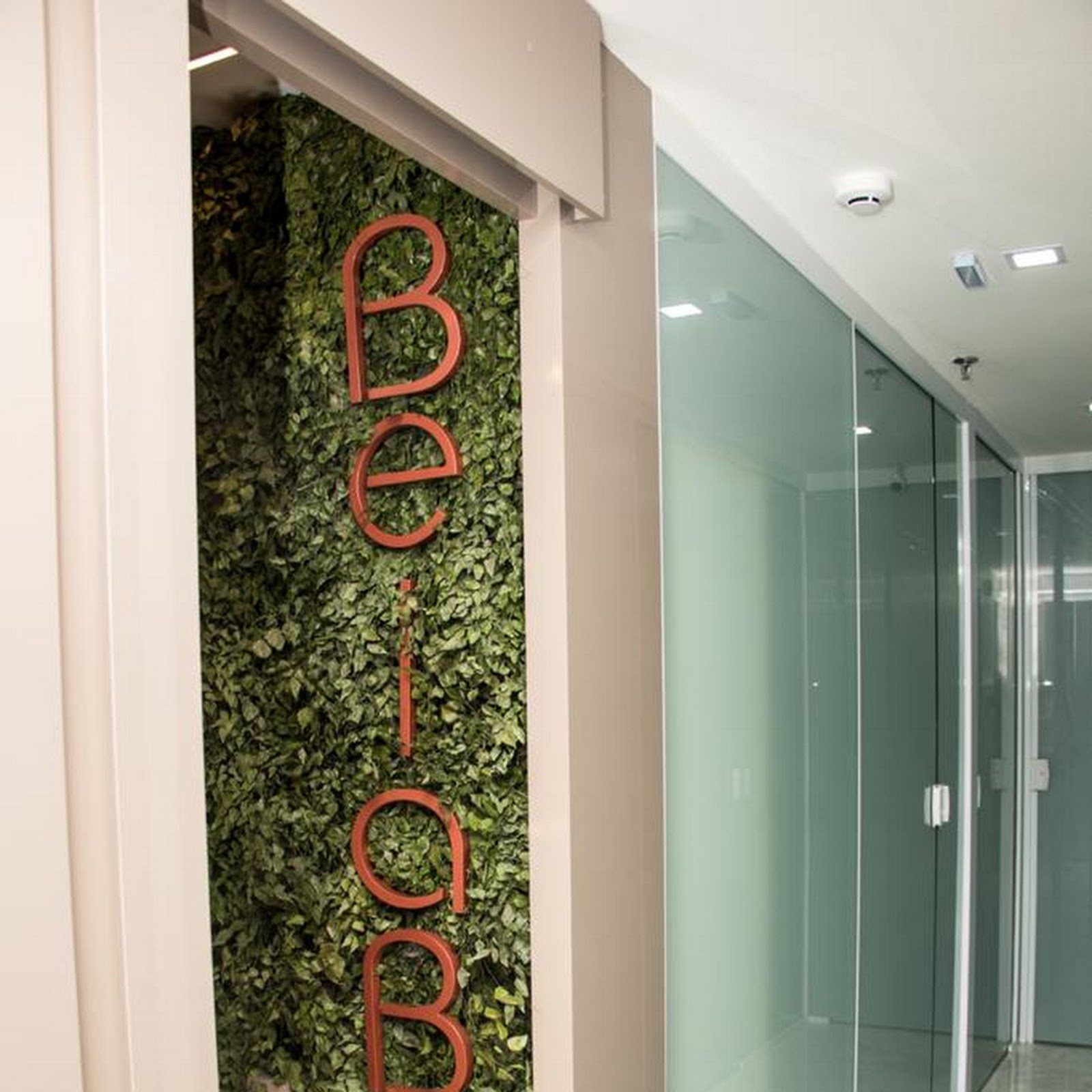 Corredor da Clínica BelaBia: parede de jardim vertical com o nome BelaBia em letras terracota plantadas na folhagem